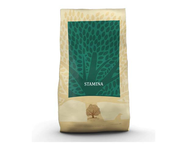 Essential Stamina 10 kg